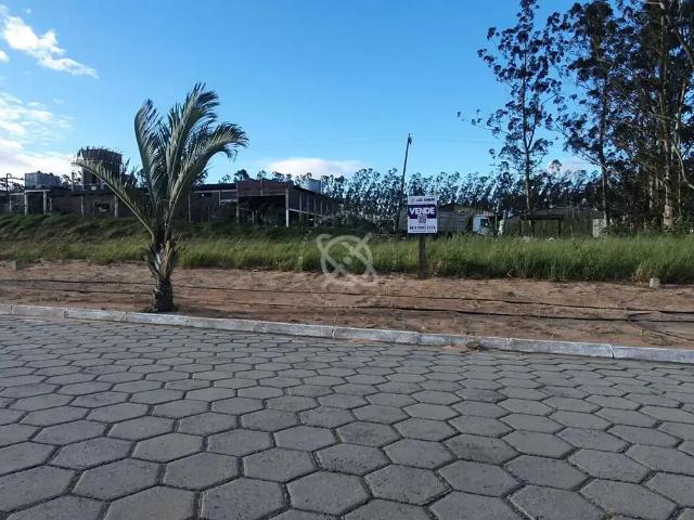Terreno / Lote para Venda em Araranguá/SC Caverazinho