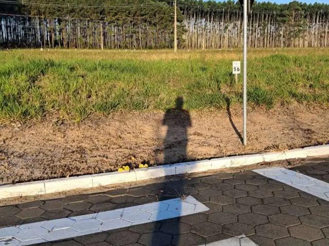 Terreno / Lote para Venda em Araranguá/SC Lagoa da Serra