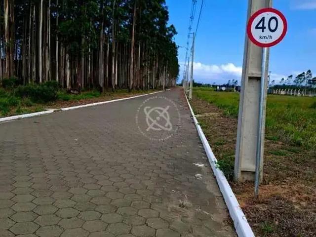 Terreno / Lote para Venda em Araranguá/SC Lagoa da Serra