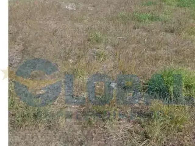 Terreno / Lote para Venda em Araranguá/SC Mato Alto