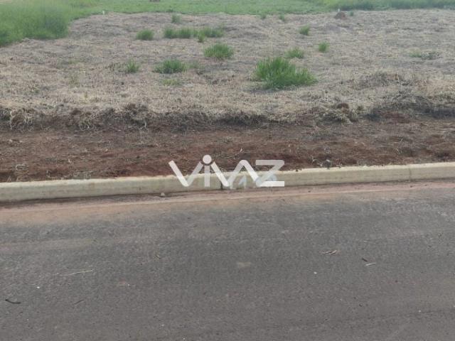 Terreno / Lote para Venda em Araraquara/SP Jardim Roberto Selmi Dei