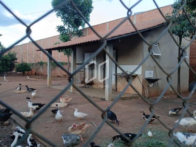 Terreno / Lote para Venda em Araraquara/SP Jardim Santa Marta