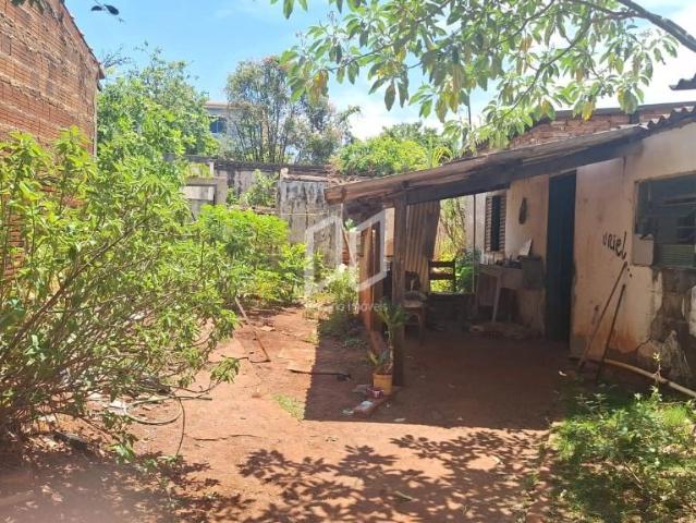 Terreno / Lote para Venda em Araraquara/SP Jardim Santa Lúcia