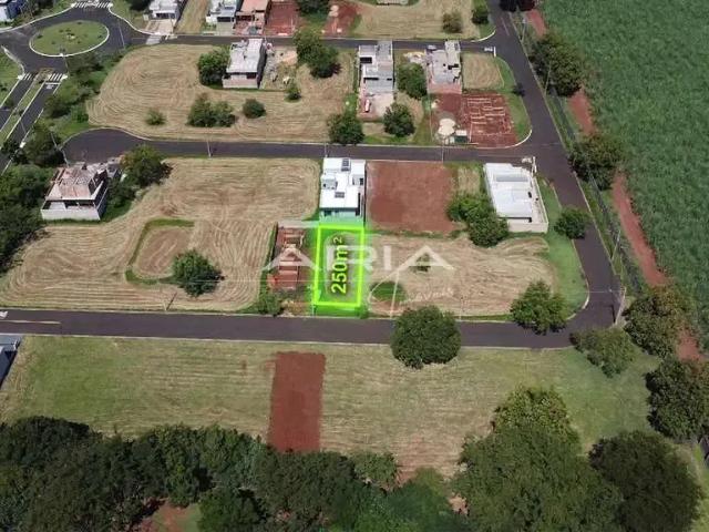 Terreno / Lote para Venda em Araraquara/SP Jardim Tamoio