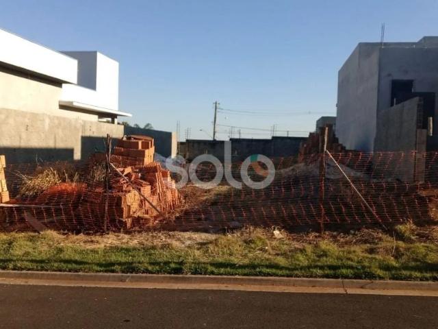 Terreno / Lote para Venda em Araraquara/SP Parque Residencial Damha
