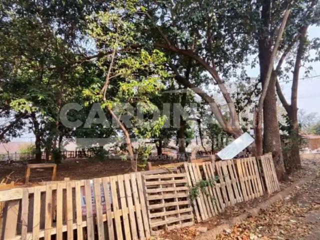 Terreno / Lote para Venda em Araraquara/SP Parque São Paulo Vila Xavier
