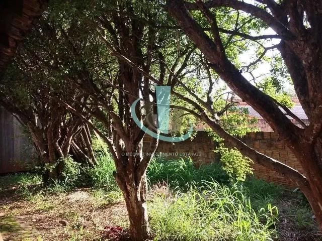 Terreno / Lote para Venda em Araraquara/SP Vila Xavier Vila Xavier