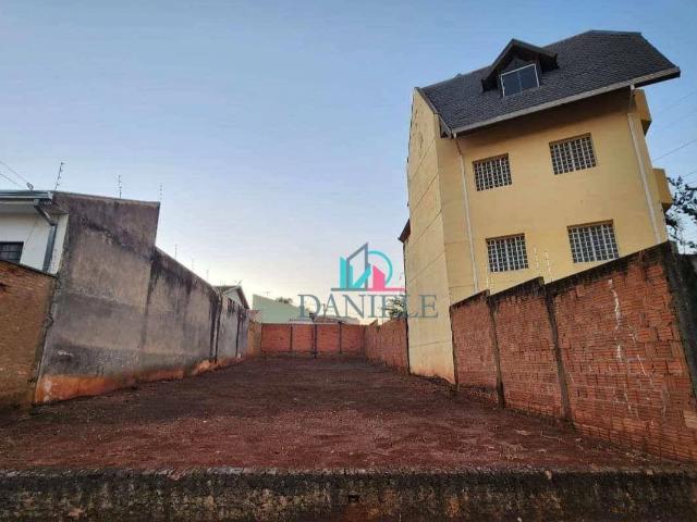 Terreno / Lote para Venda em Araraquara/SP Vila Suconasa