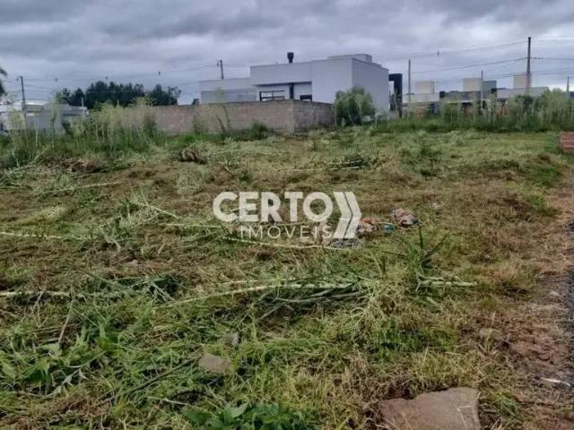 Terreno / Lote para Venda em Araricá/RS Azaléia