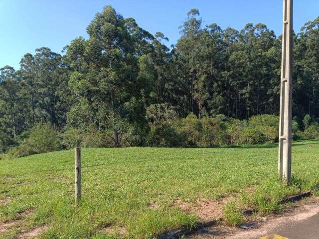 Terreno / Lote para Venda em Araruna/PR Centro
