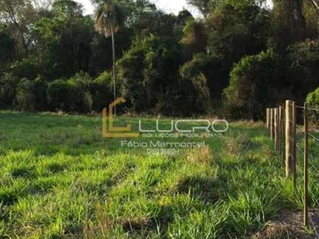 Terreno / Lote para Venda em Arealva/SP Área Rural de Jacuba