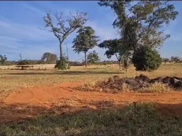 Terreno / Lote para Venda em Arealva/SP Jardim Vitória