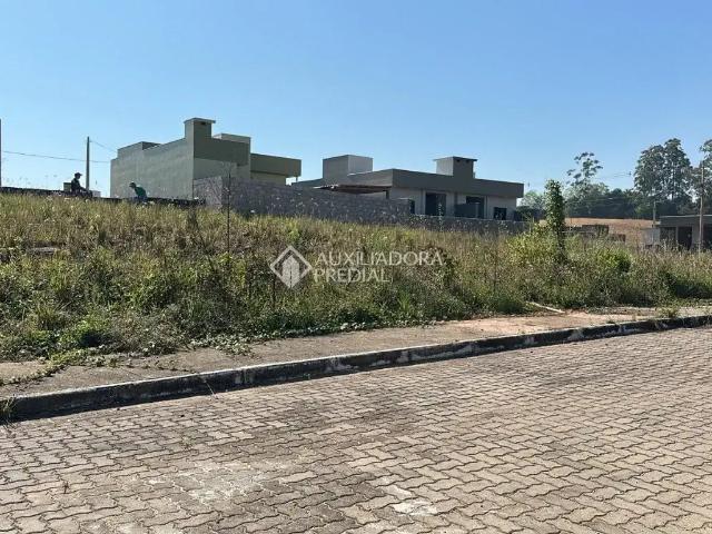 Terreno / Lote para Venda em Arroio do Meio/RS Medianeira