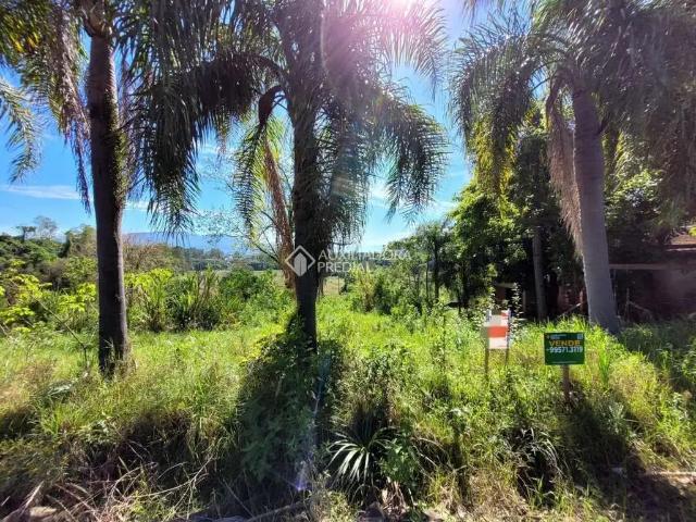 Terreno / Lote para Venda em Arroio do Meio/RS Medianeira
