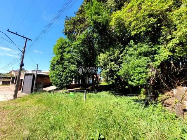 Terreno / Lote para Venda em Arroio do Meio/RS Medianeira
