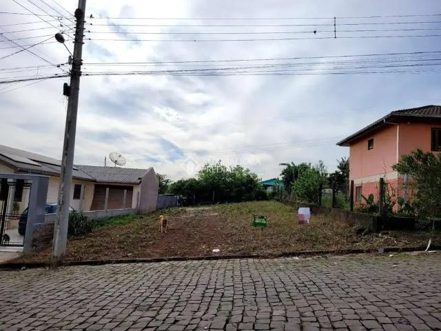 Terreno / Lote para Venda em Arroio do Meio/RS São Caetano