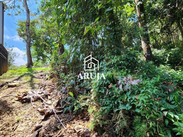 Terreno / Lote para Venda em Arujá/SP Novo Horizonte Hills I e II