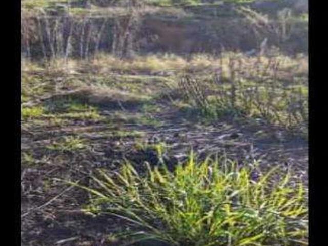 Terreno / Lote para Venda em Arujá/SP Chácaras Vista Alegre