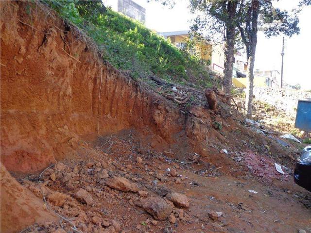 Terreno / Lote para Venda em Arujá/SP Jardim Renata