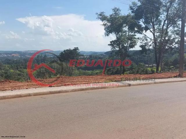 Terreno / Lote para Venda em Atibaia/SP Atibaia Belvedere