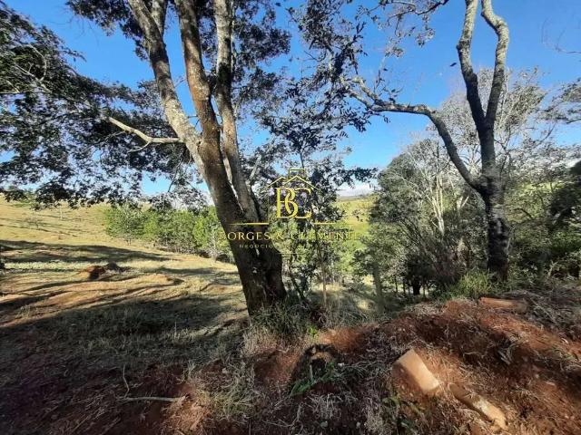 Terreno / Lote para Venda em Atibaia/SP Boa Vista