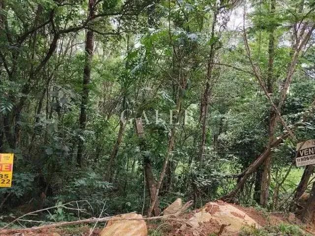 Terreno / Lote para Venda em Atibaia/SP Bosque dos Eucalíptos