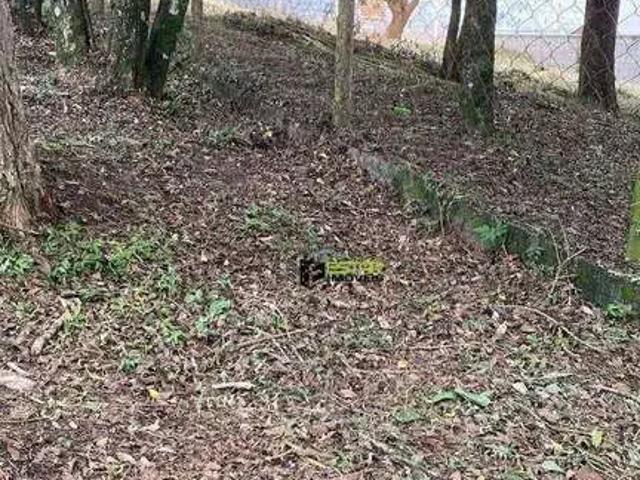 Terreno / Lote para Venda em Atibaia/SP Jardim Maristela