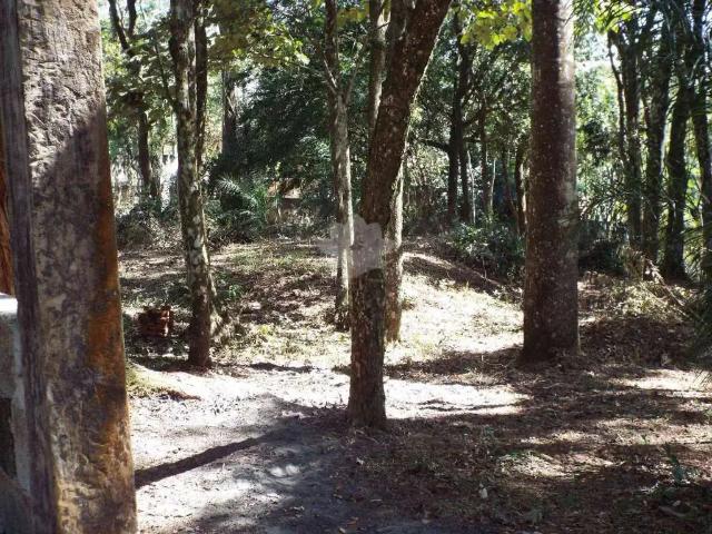 Terreno / Lote para Venda em Atibaia/SP Jardim Estância Brasil