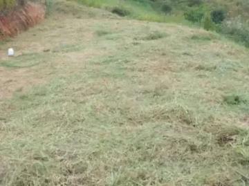 Terreno / Lote para Venda em Atibaia/SP Jardim Estância Brasil