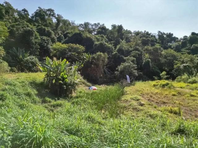 Terreno / Lote para Venda em Atibaia/SP Jardim Paulista
