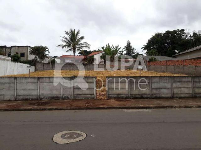 Terreno / Lote para Venda em Atibaia/SP Jardim Paulista