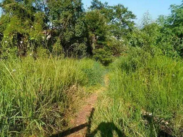 Terreno / Lote para Venda em Atibaia/SP Jardim Santa Bárbara