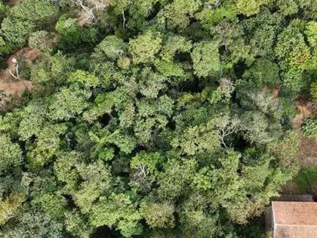 Terreno / Lote para Venda em Atibaia/SP Loteamento Bosque dos Palmares