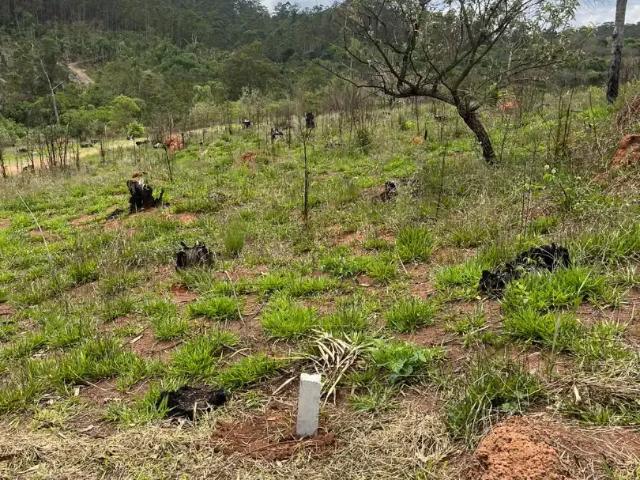 Terreno / Lote para Venda em Atibaia/SP Portão