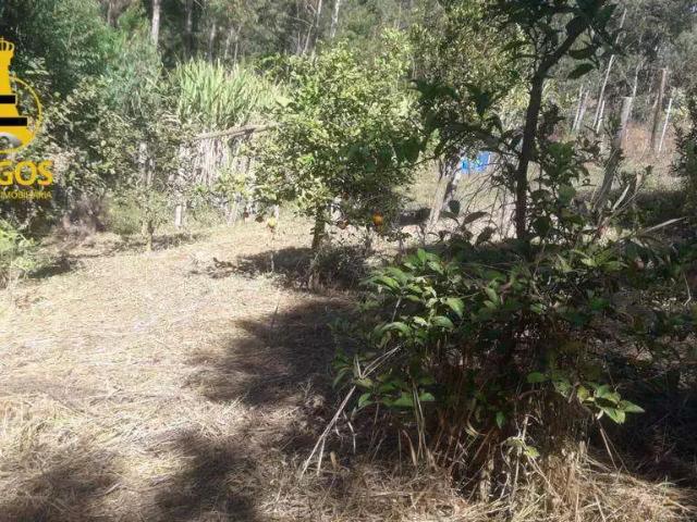 Terreno / Lote para Venda em Atibaia/SP Portão
