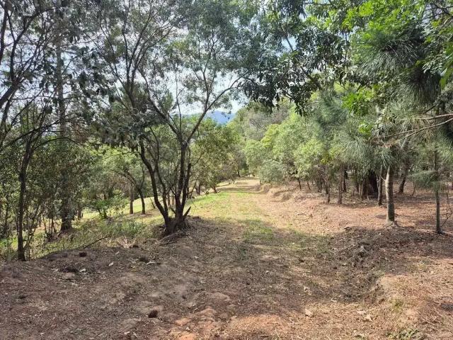 Terreno / Lote para Venda em Atibaia/SP Parque Fernão Dias