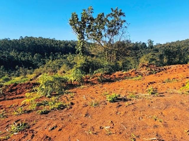 Terreno / Lote para Venda em Atibaia/SP Recreio São Vicente