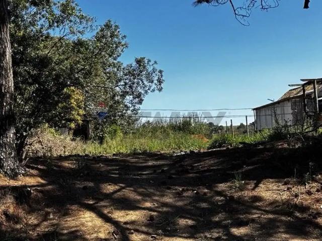 Terreno / Lote para Venda em Atibaia/SP Vitória Régia