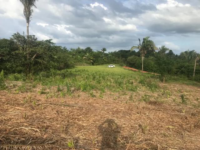 Terreno / Lote para Venda em Axixá/MA Centro