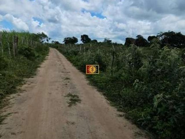 Terreno / Lote para Venda em Bananeiras/PB Centro