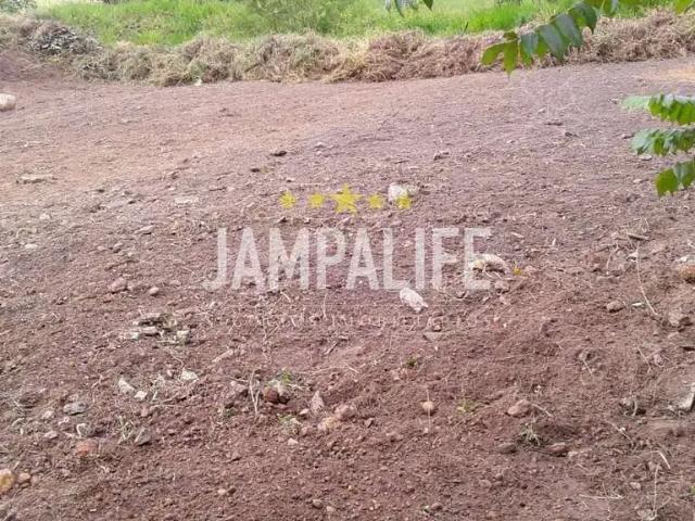 Terreno / Lote para Venda em Bananeiras/PB Chã Do Lindolfo