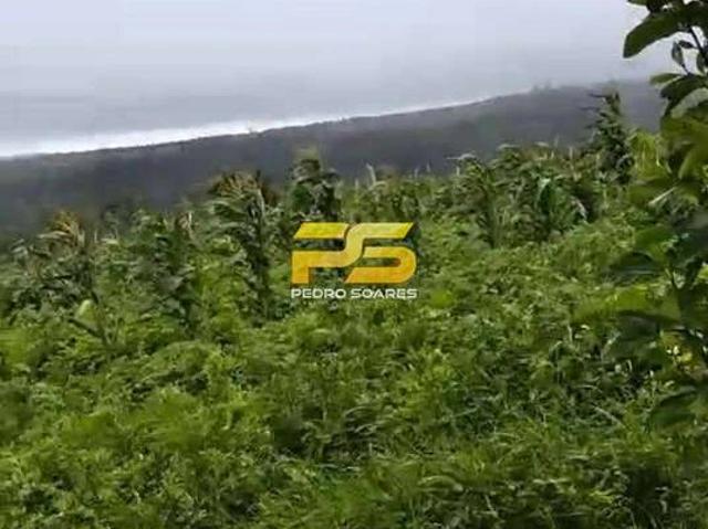 Terreno / Lote para Venda em Bananeiras/PB Chã Do Lindolfo