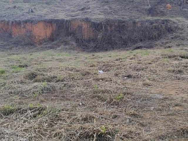 Terreno / Lote para Venda em Bandeira do Sul/MG Zona Rural