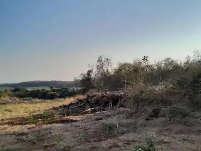 Terreno / Lote para Venda em Bandeirantes/MS Centro