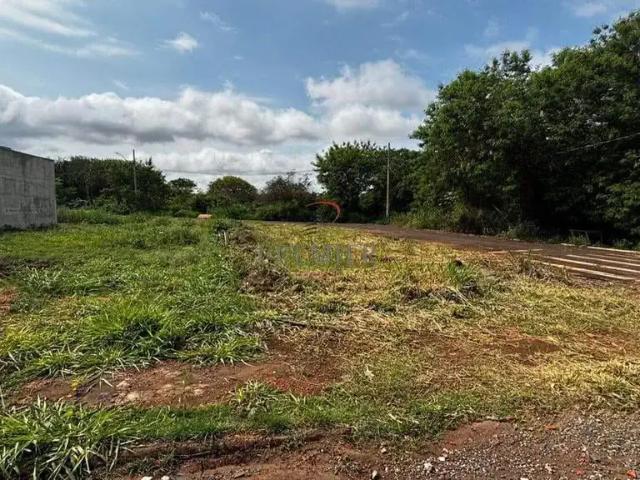 Terreno / Lote para Venda em Bandeirantes/PR Setor 2