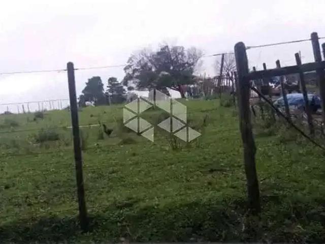Terreno / Lote para Venda em Bagé/RS Arvorezinha