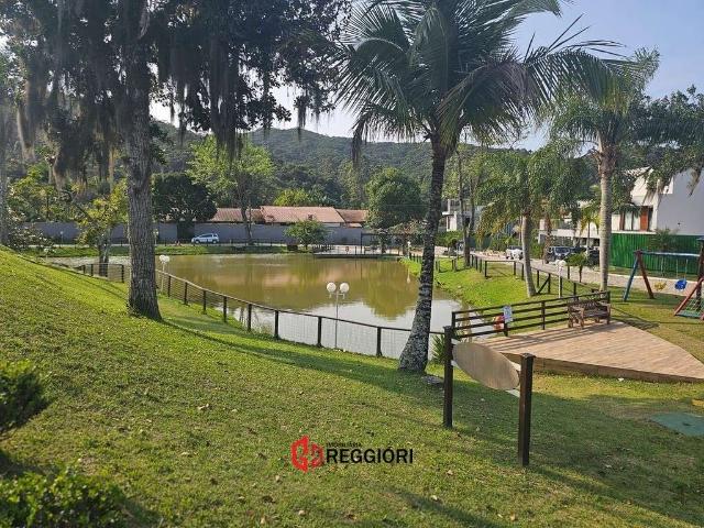 Terreno / Lote para Venda em Balneário Camboriú/SC Ariribá