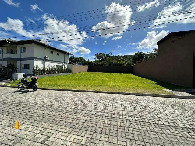 Terreno / Lote para Venda em Balneário Camboriú/SC Ariribá