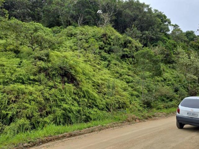 Terreno / Lote para Venda em Balneário Camboriú/SC Barra