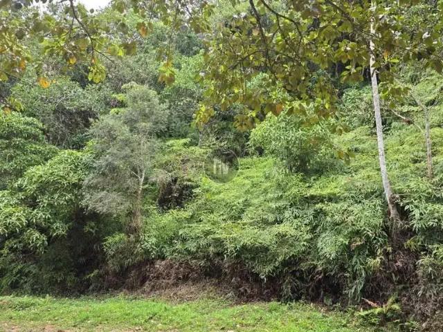 Terreno / Lote para Venda em Balneário Camboriú/SC Barra